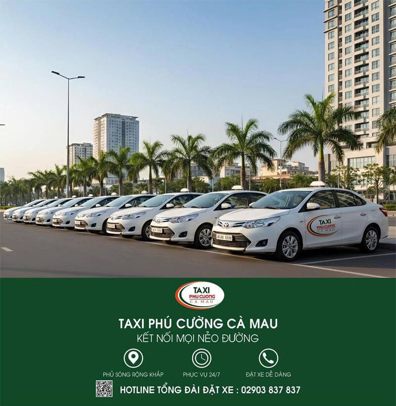 Taxi Cà Mau: Số điện thoại 20 hãng xe 4-7-9 chỗ & giá cước km
